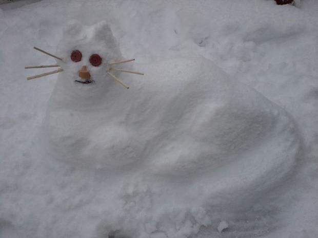 snowcat2.jpg 