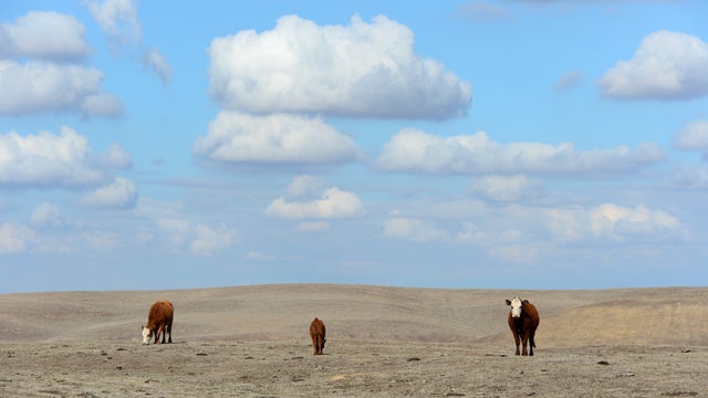 California drought drags on 