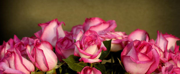 valentine flowers roses 