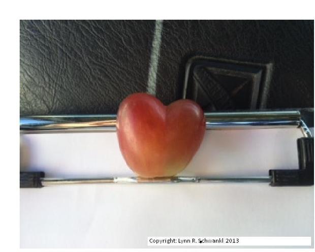 heart-grape-copyrighted-pic.jpg 