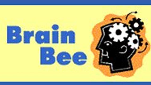 brain-bee.jpg 