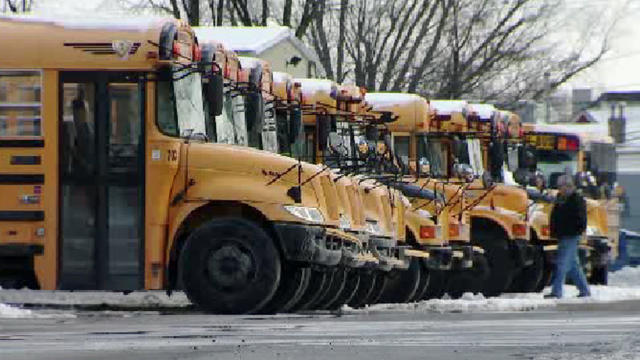 schoolbuses.jpg 