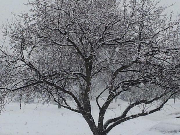feb-20-snow-lakeville-erin-nakielski.jpg 