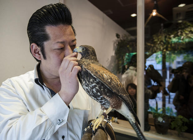 Tokyo Birds Cafe 