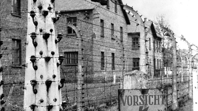 auschwitz-330849.jpg 