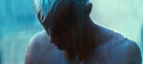 cinemagraphs-36-bladerunner-thumb-510x227-39115.gif 