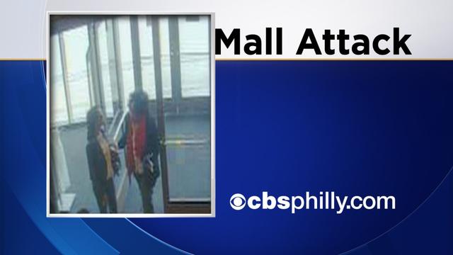 no-name-mall-attack-cbsphilly-3-10-2014.jpg 
