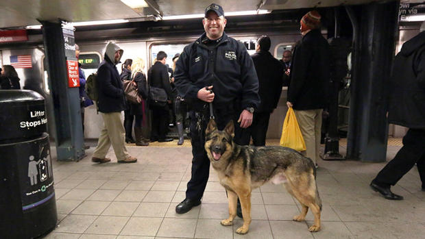 Police Dog Who Helped Rescue Kareem Granton 
