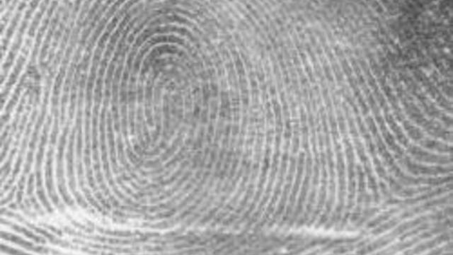 fingerprint.jpg 