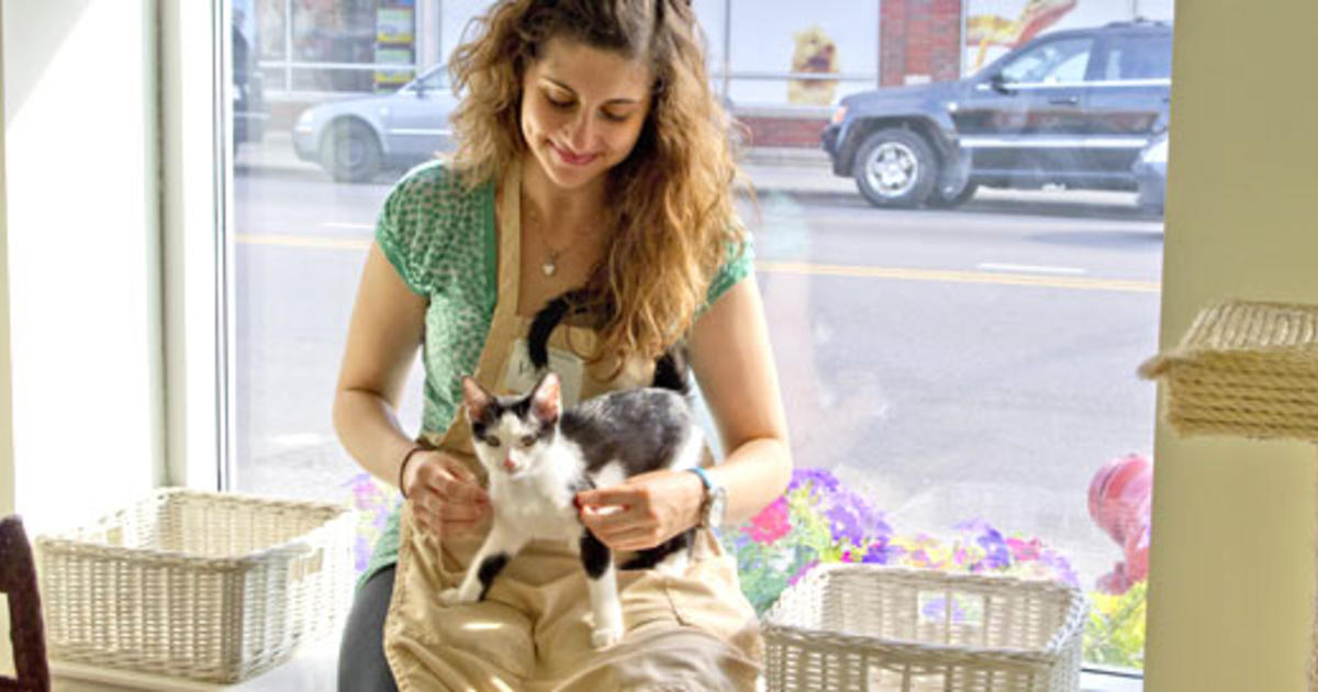 Best Volunteer Opportunities For Animal Lovers In Chicago - CBS Chicago