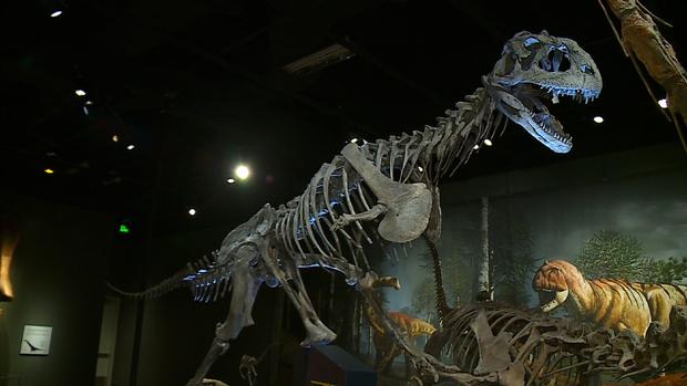 Dinosaur Exhibit At Science Museum 