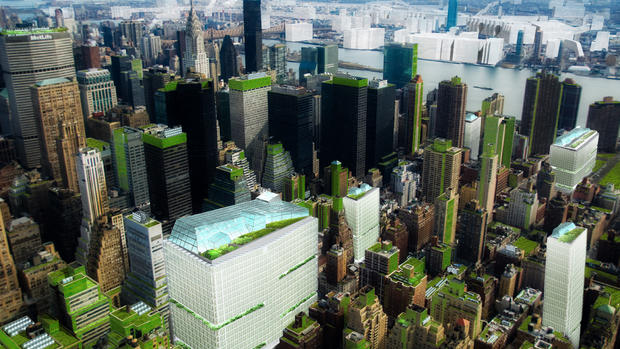 What would a sustainable NYC look like? 