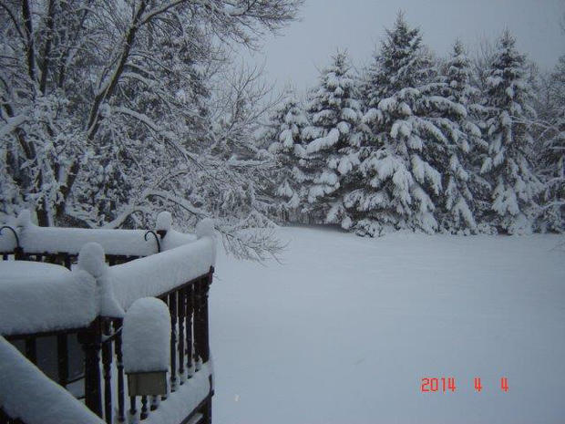 snow-oak-grove-john-wangensteen.jpg 