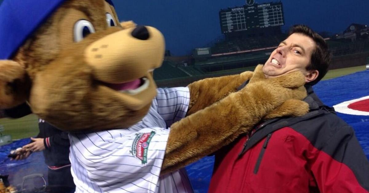 Cubs' New Mascot Clark 'Strangles' WBBM-TV Reporter Mike Puccinelli - CBS  Chicago