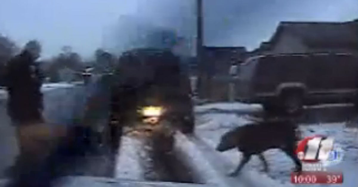 Idaho mayor faces possible recall after cop kills dog CBS News