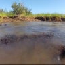 thur370-environment-la-oil-spill-4-years-latermovstill004.jpg 