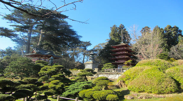 Japanese Tea Garden - Golden Gate Park 