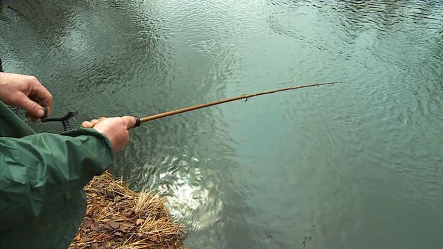 stream-trout-opener.jpg 