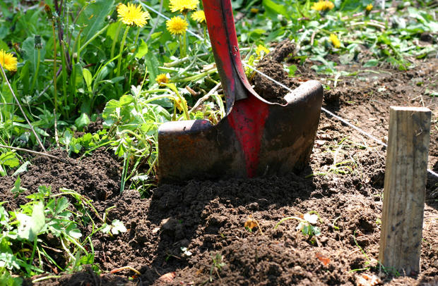 garden shovel planting 
