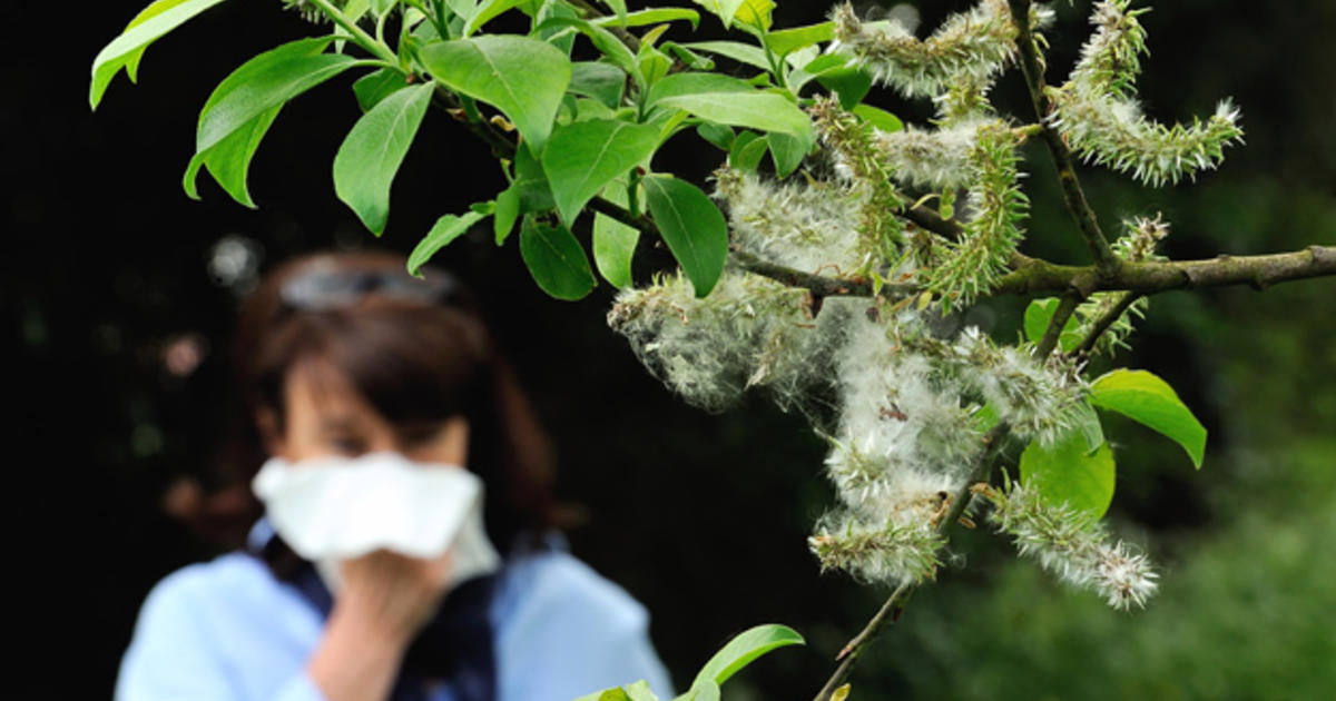 Pollen Season Is Nothing to Sneeze at, Homegrown