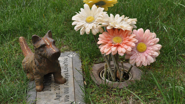 A final home for beloved pets 