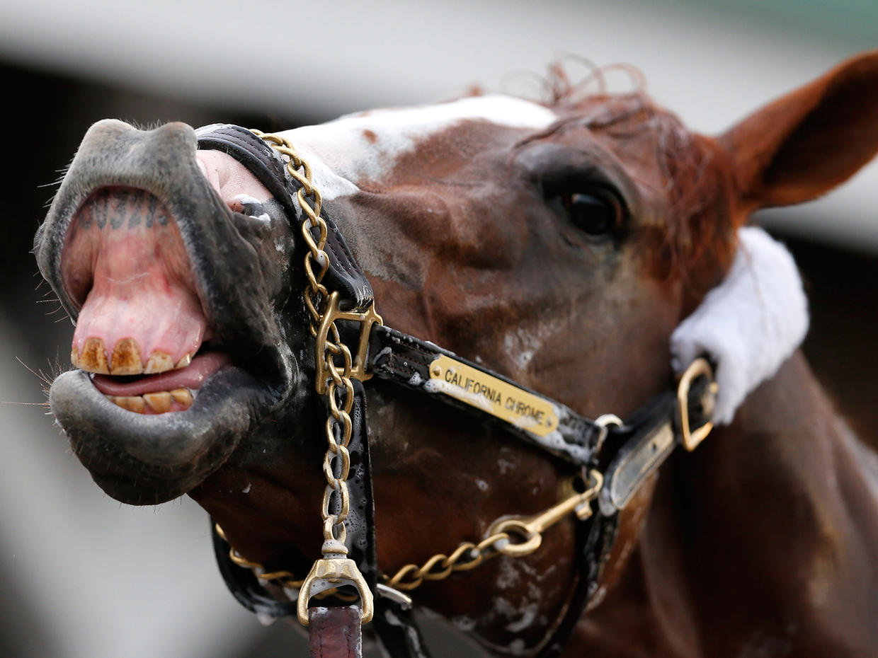 2014 Kentucky Derby