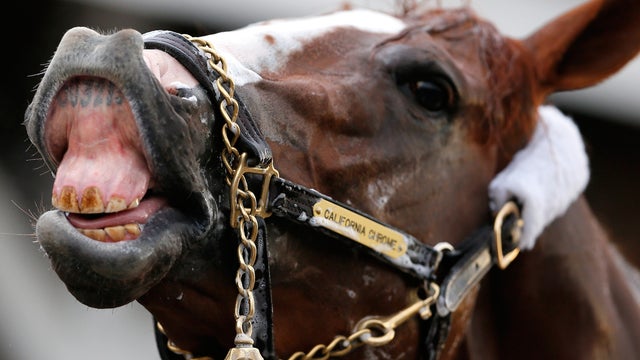 kentucky-derby-california-chrome-487630375.jpg 