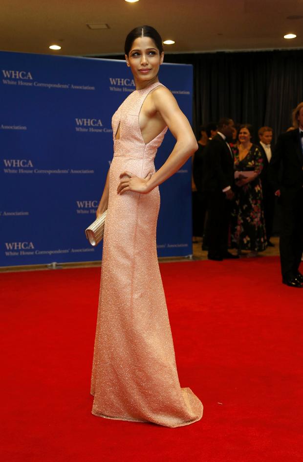 Actress Freida Pinto arrives on the red carpet at the annual White House Correspondents' Association dinner in Washington May 3, 2014. 