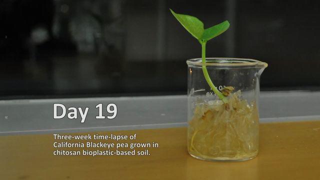 scitech-0507-bioplastictimelapse-640x360.jpg 