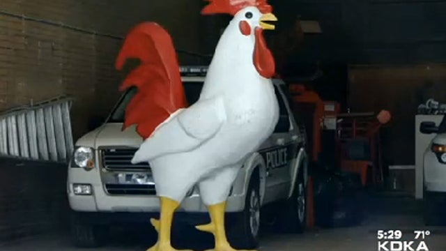 rooster.jpg 