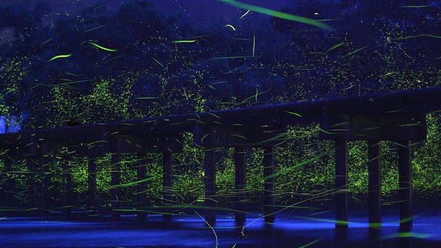 Takehito Miyatake's photographs 