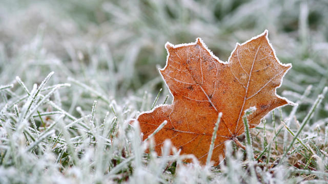 fall-winter-frost.jpg 