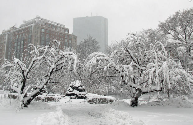 Boston Public Garden snow generic 