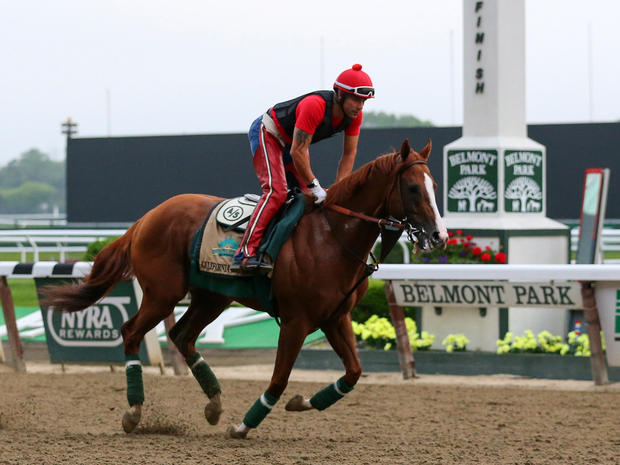 California Chrome, ridden by exercise rider Willie Delgado, passes the finish line as they jog the track during workouts in preparation for the 2014 Belmont Stakes at Belmont Park June 4, 2014, in Elmont, N.Y. 