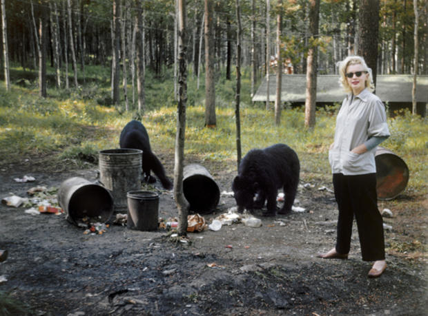 marilyn-monroe-black-bears-copy-2.jpg 