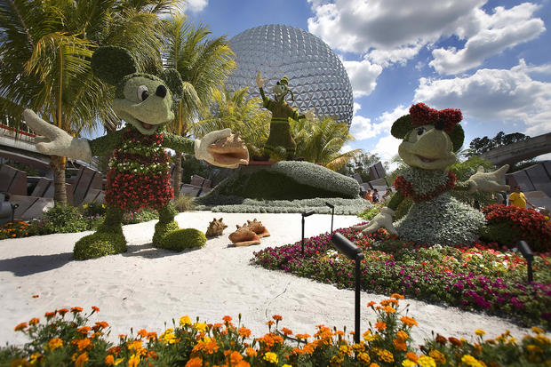 Disney character topiaries are on displa 