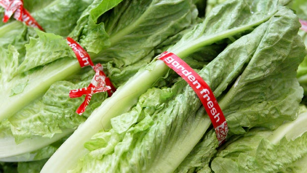 Foodborne illness: The most guilty foods list 