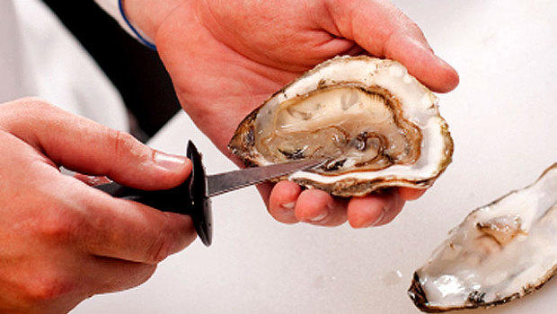 oyster.jpg 