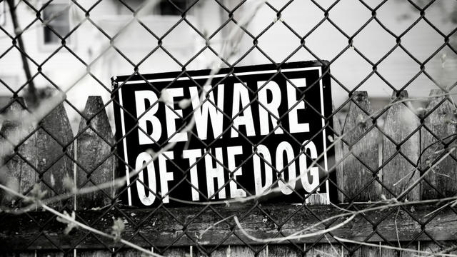 beware-of-dog.jpg 