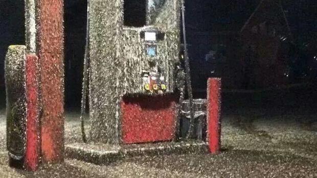 Mayfly hatch overwhelms upper Midwest 
