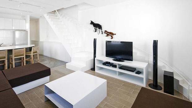 5 customized homes that provide luxury living for pets 