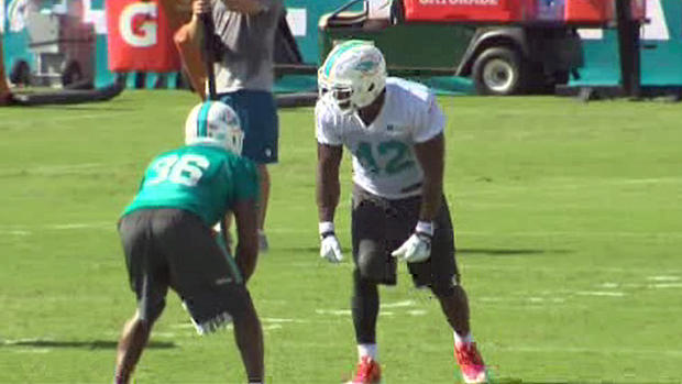 miami-dolphins-camp-day-1.jpg 