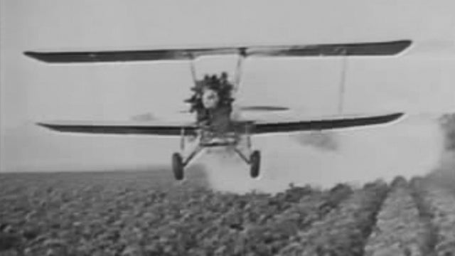 early-crop-duster-promo.jpg 