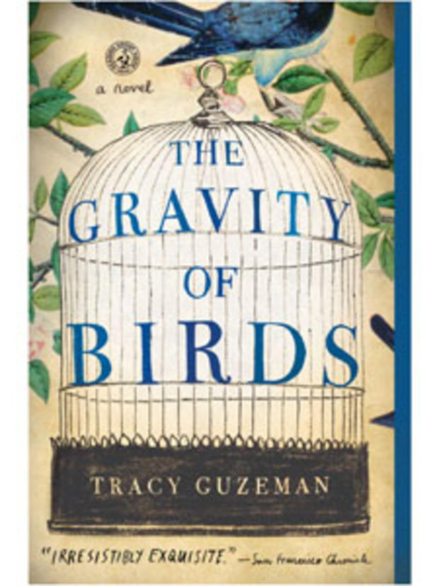 The Gravity Of Birds 