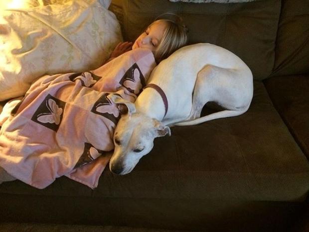 my-niece-bugs-with-my-pittie-lacie-just-a-couple-of-best-buds-taking-a-nap.jpg 