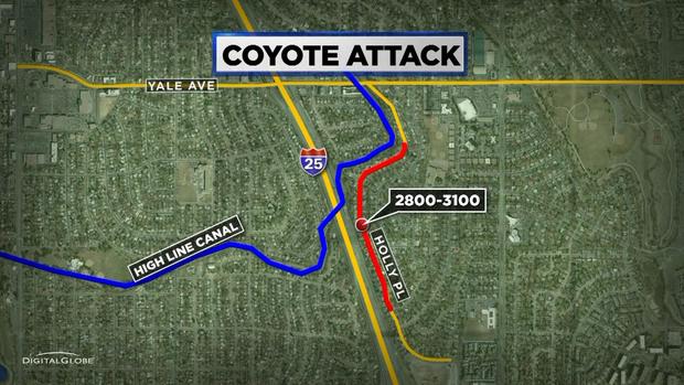HIGH CANAL COYOTES MAP.tran 