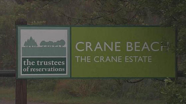 Crane Beach 