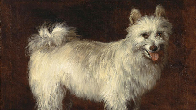 spitz-dog-1765-thomas-gainsborough.jpg 