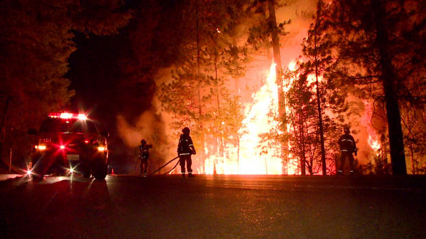 firefighter-battling-fire-in-trees.jpg 