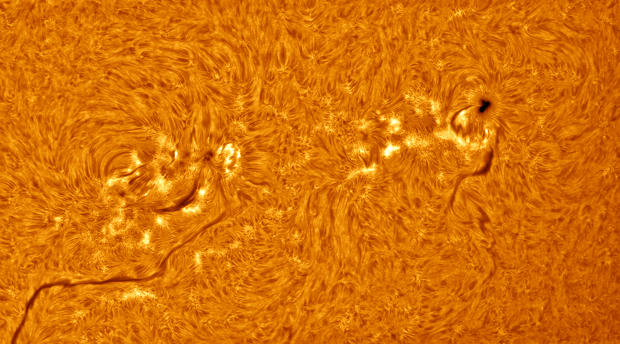 solar-nexus-c-alexandra-hart-high-res.jpg 